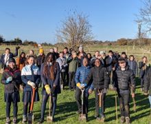 Tree PLanting SJL (3)